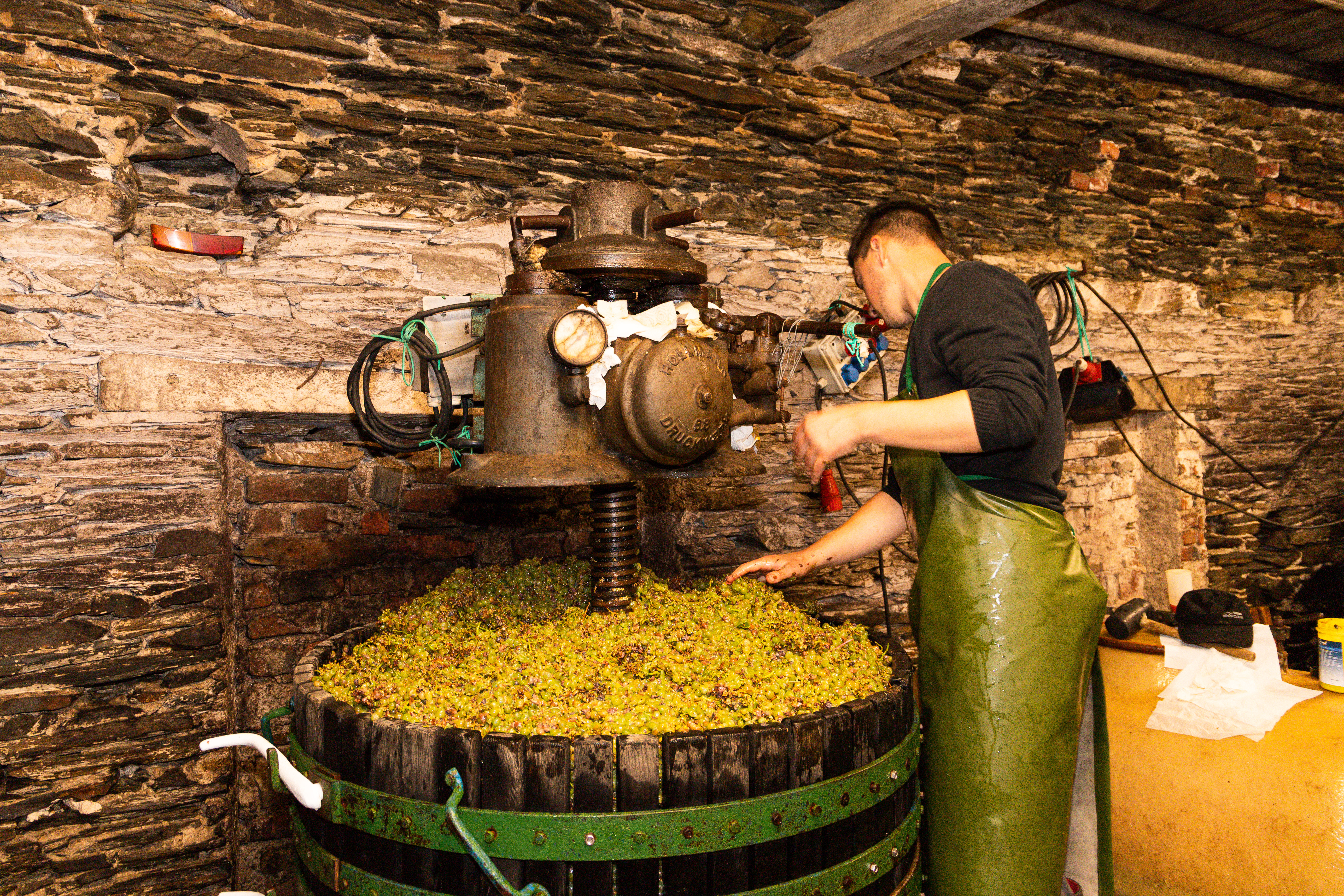 Traditionelle Korbkelter im Weingut Martin Müllen